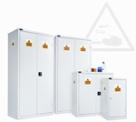 Acid Storage Cabinet / Alkaline Storage Cupboard